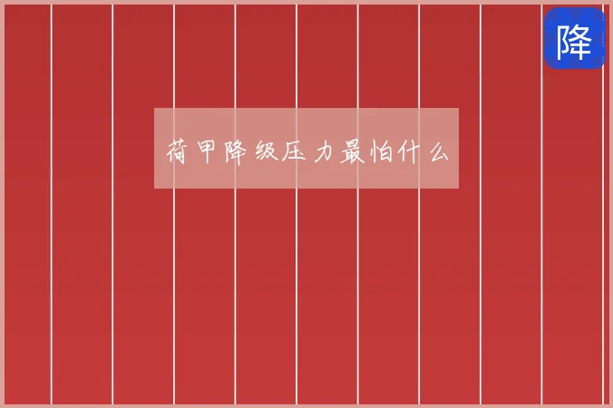 荷甲降级压力最怕什么